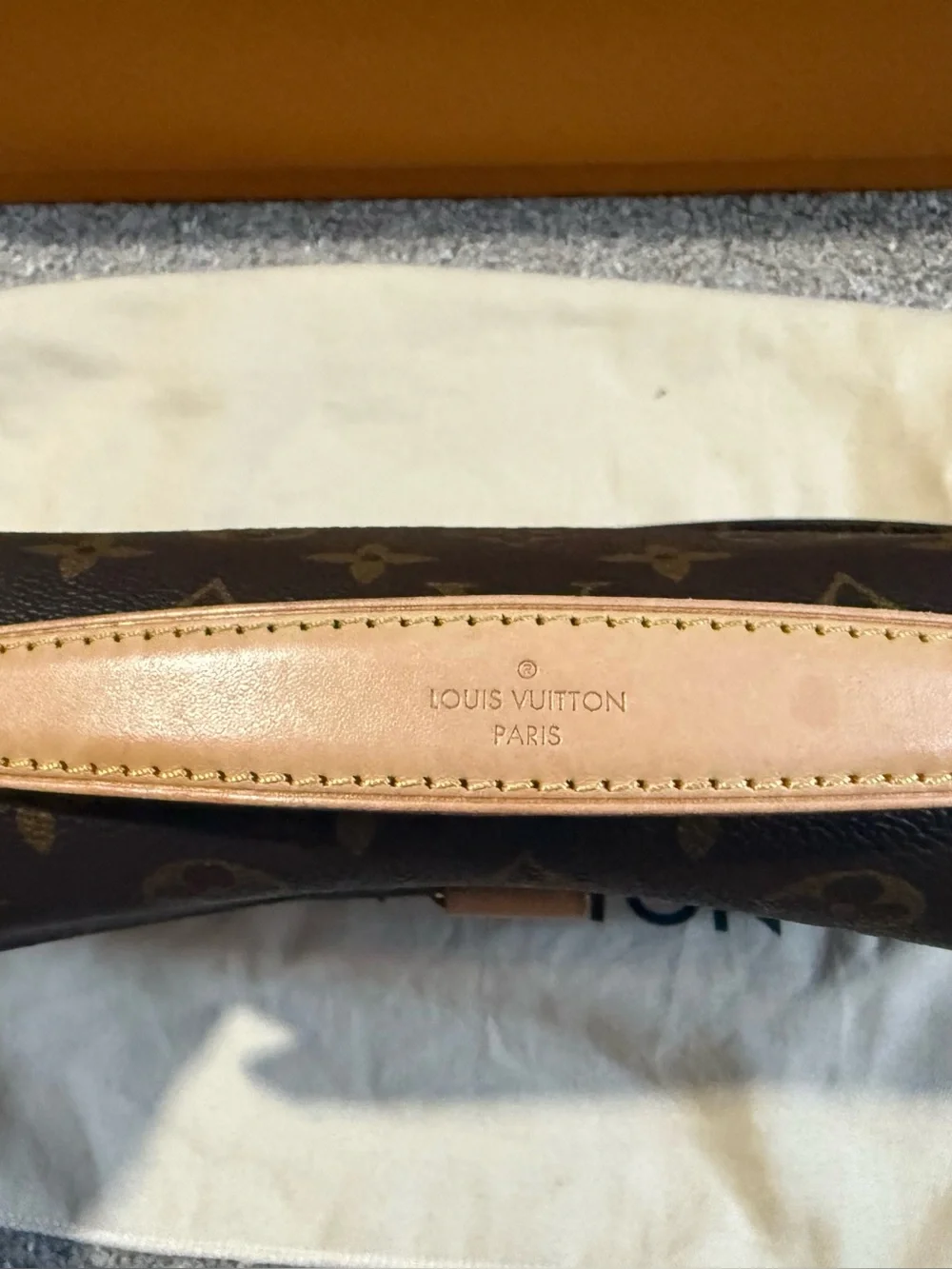 Louis Vuitton Pochette Métis
